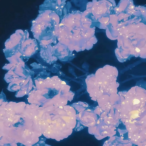 馒头鲍美女被肏
